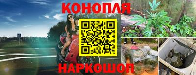 гидра Малгобек
